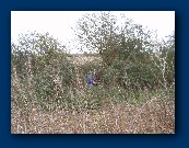 Geoff and Graham in the thick of it